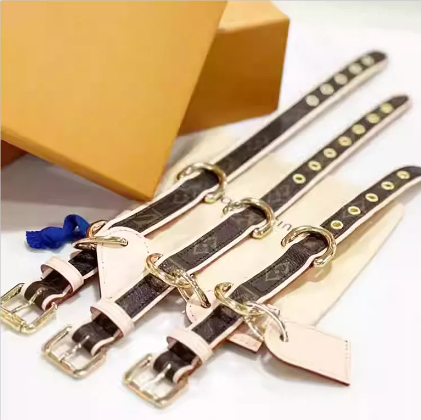 BellaCord Klassische Hundeleine & Halsband