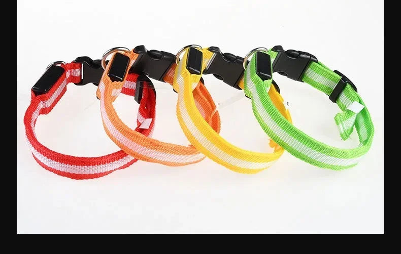 LumiSafe LED Hondenhalsband