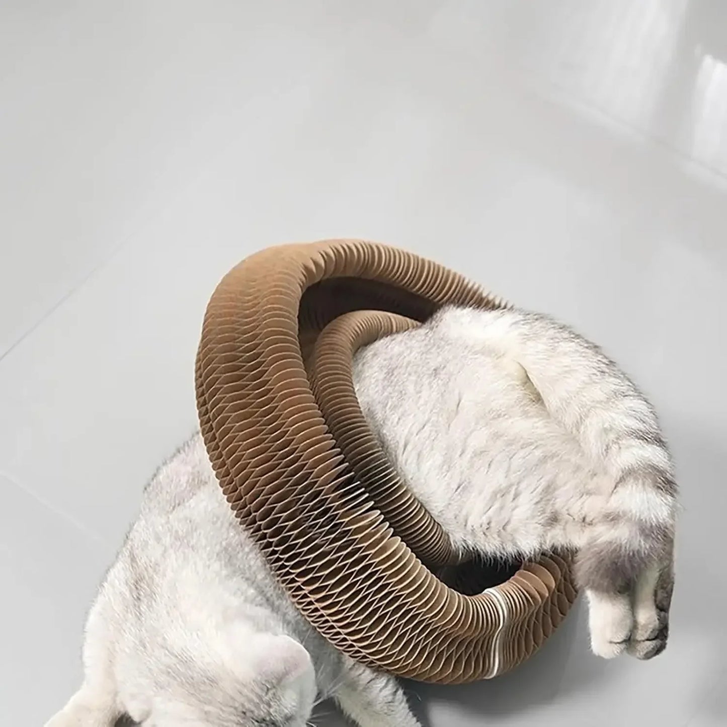 KittyKurlz Magic Organ Playboard