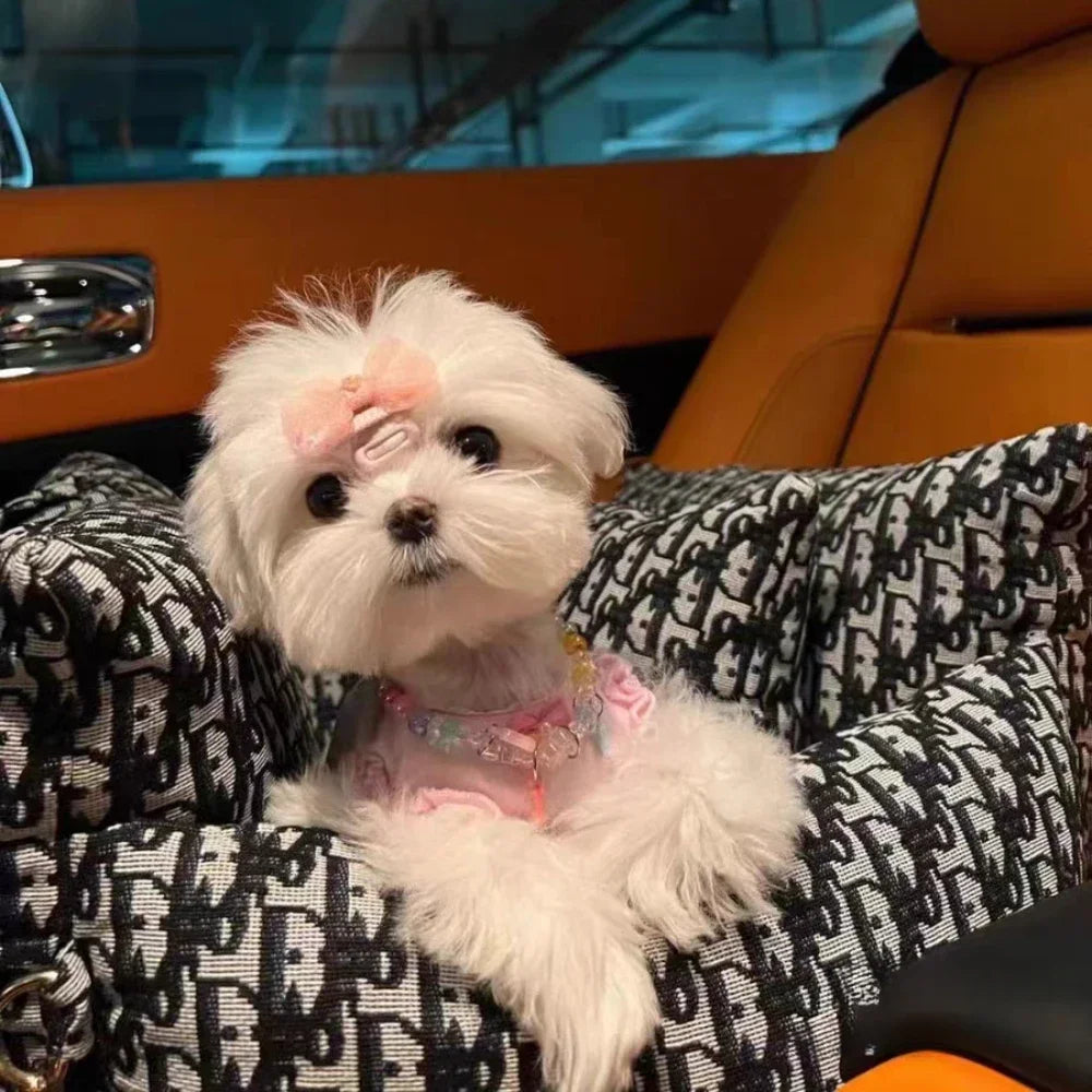 Autobox für Hunde – Herausnehmbare und waschbare Hundebox für Herbst und Winter