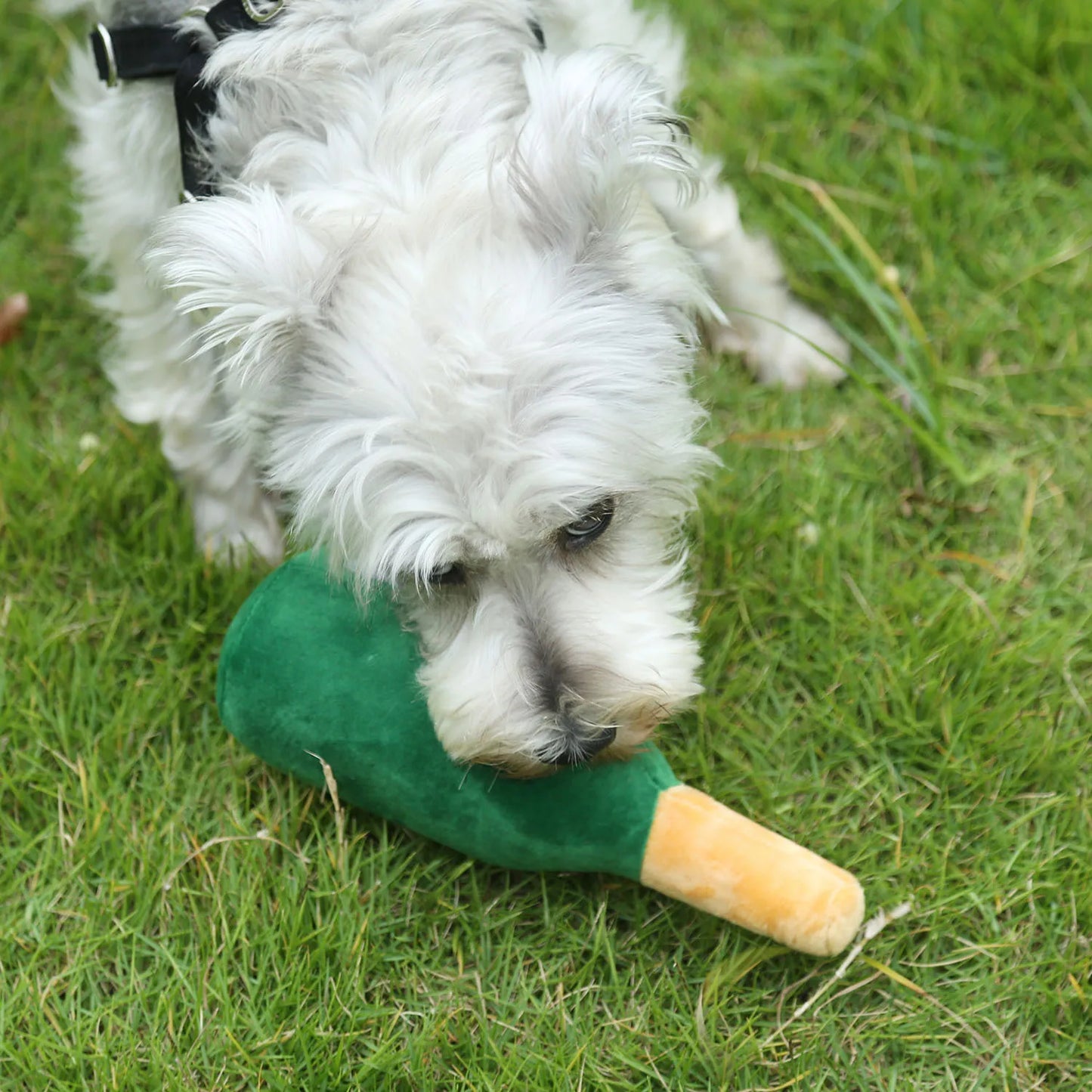 PawJoy interaktives Hundespielzeug in gelber Weinflasche