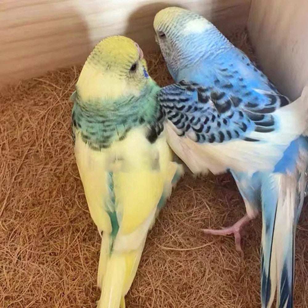 EcoTera Natur-Kokosfaser Terrarienmatte