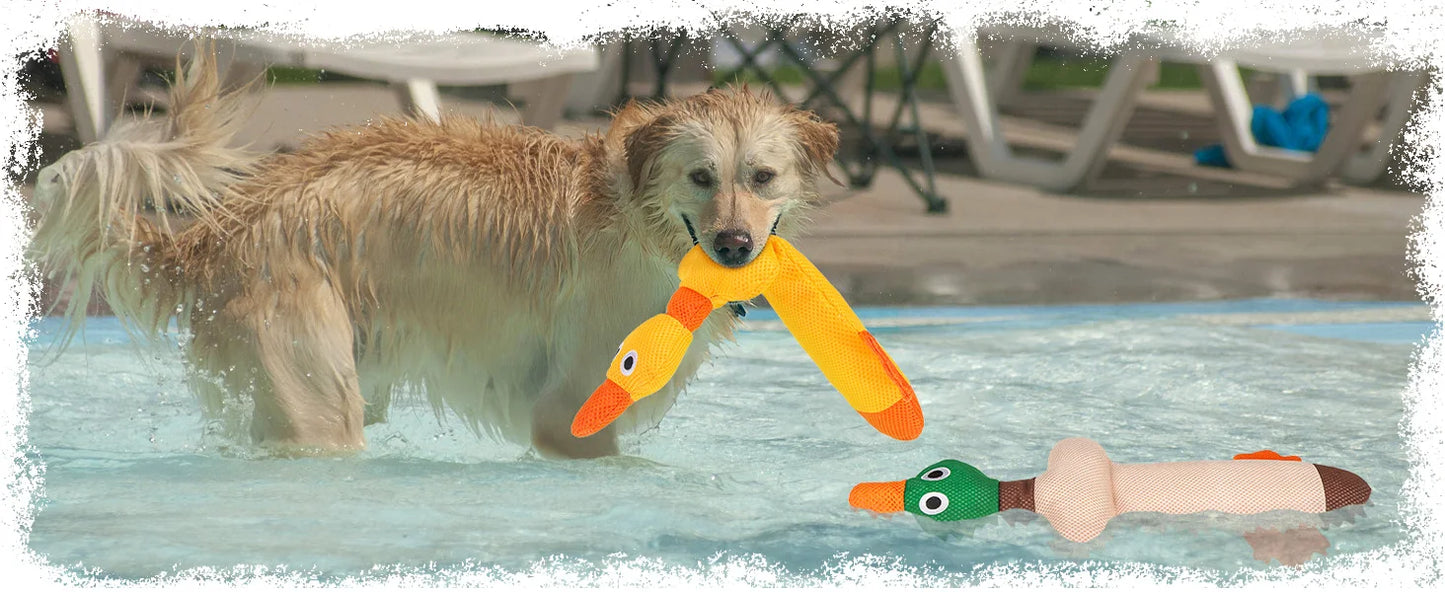 ZiziFloat Hunde-Wasserspielzeug