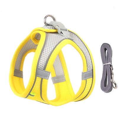 Atmungsaktives Hundegeschirr mit Leine für kleine Hunde – Polyester, XXS-L