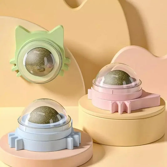 MINTYPLAY Leckbarer Kräuterball für Katzen – Snack, Spielzeug & Zahnpflege in einem!