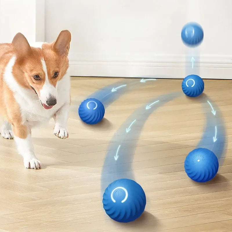 JumpiBall – Intelligenter Hüpfball für Hunde