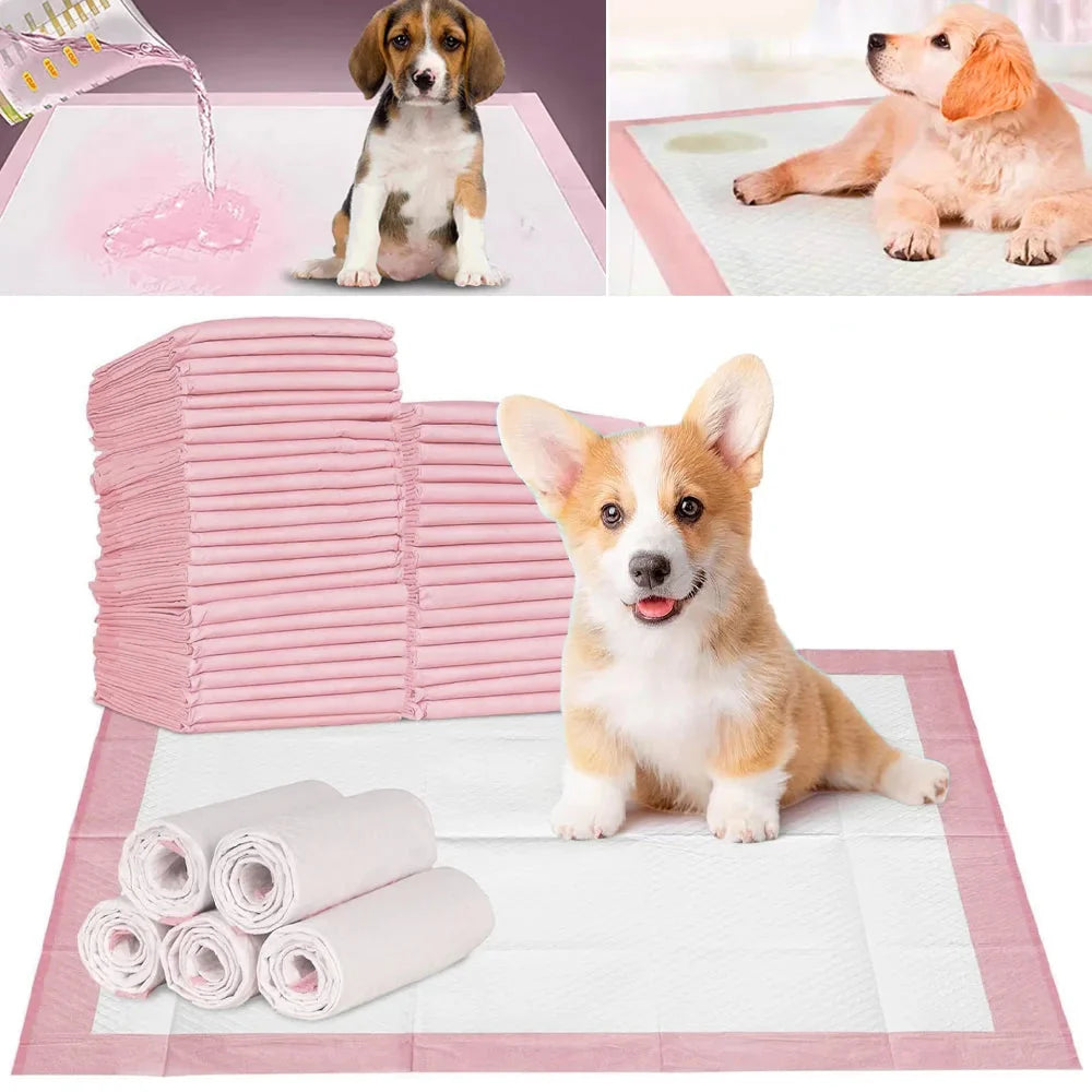 DRYPAWS – 50x Einweg-Hundepfützenmatten