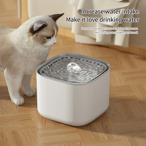 Kattenfontein 3L Stil BPA-frei – mit 4-Liter-Filtersystem