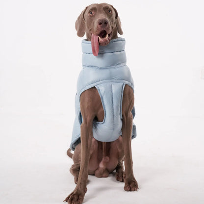 Premium Winter Winddichte Hundejacke