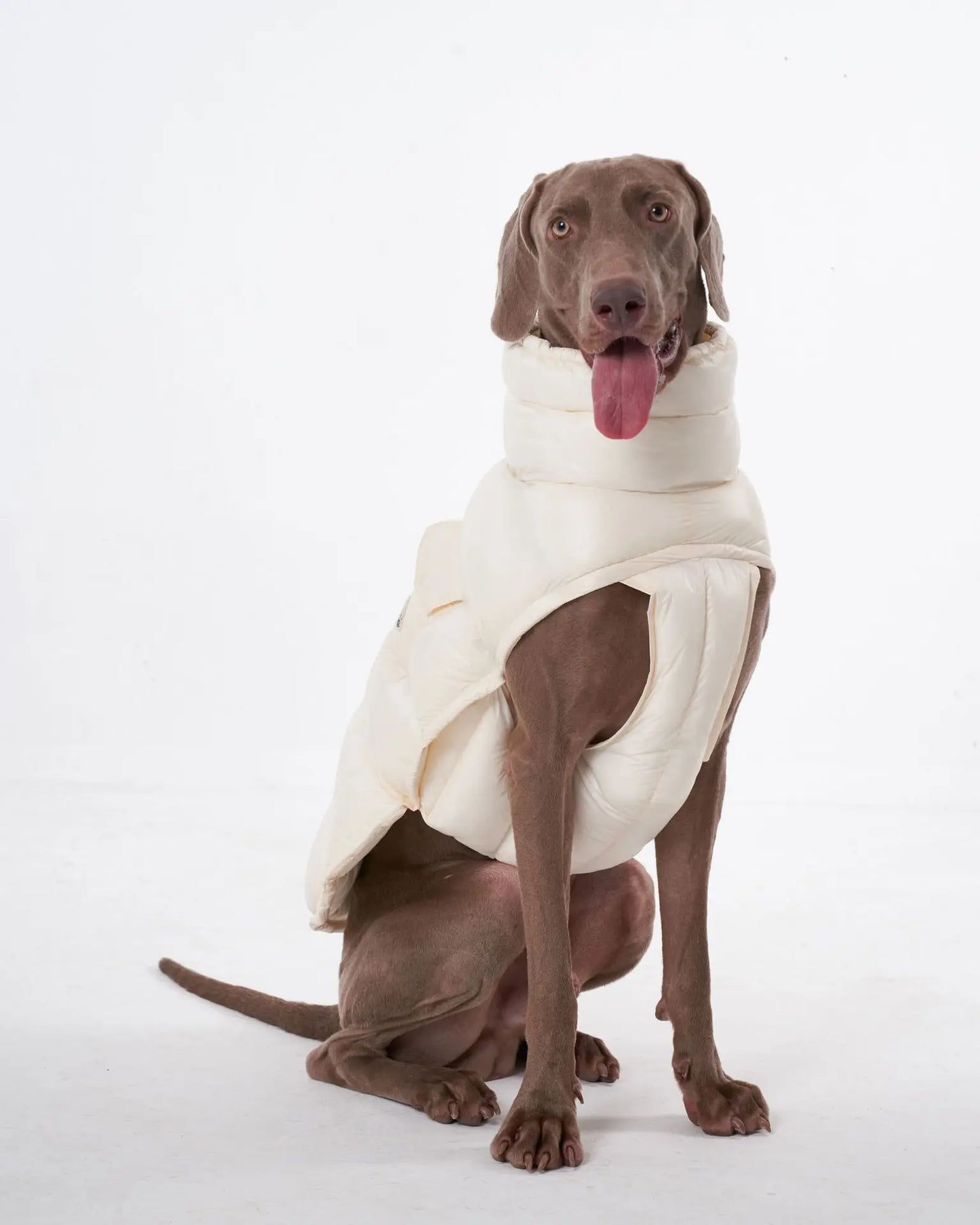 Premium Winter Winddichte Hundejacke