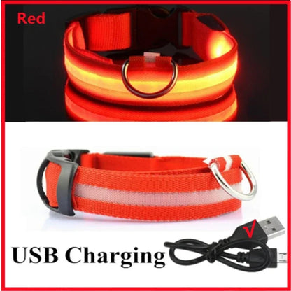 LumiGlow LED Leuchthalsband für Hunde