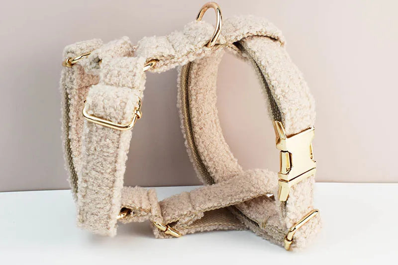 Teddy Luxus personalisiertes Hundehalsband- und Leinen-Set