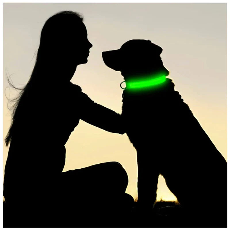 LumiGlow LED Leuchthalsband für Hunde