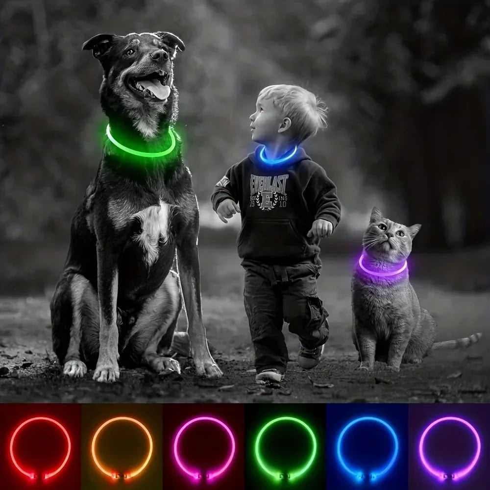 GlowGuard LED-Sicherheitshalsband für Hunde – USB-aufladbar & reflektierend