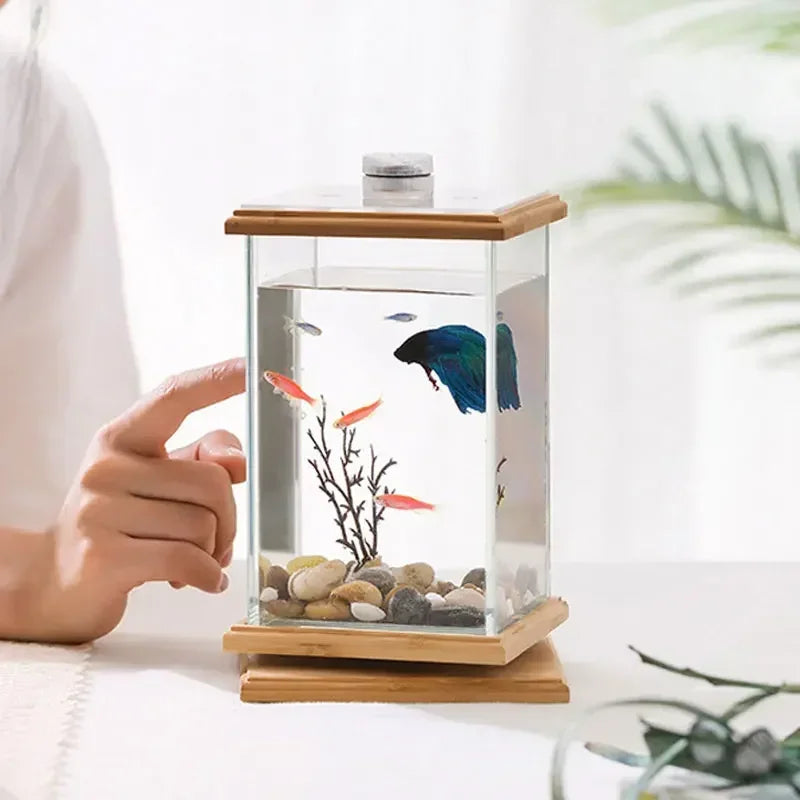 AquaGlow LED zylindrisches Mini-Aquarium