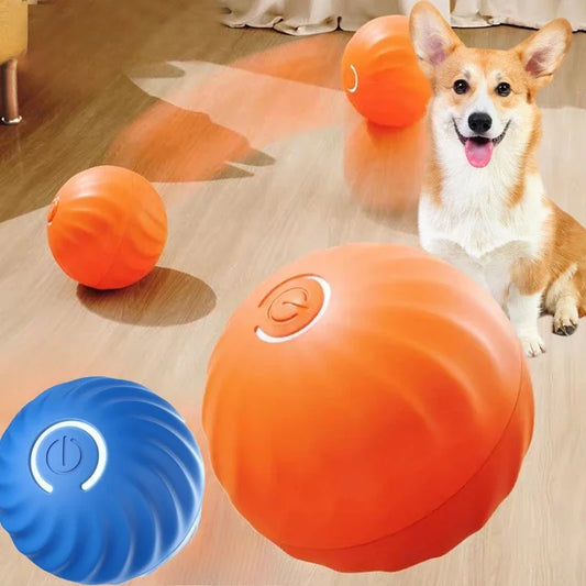 JumpiBall – Intelligenter Hüpfball für Hunde