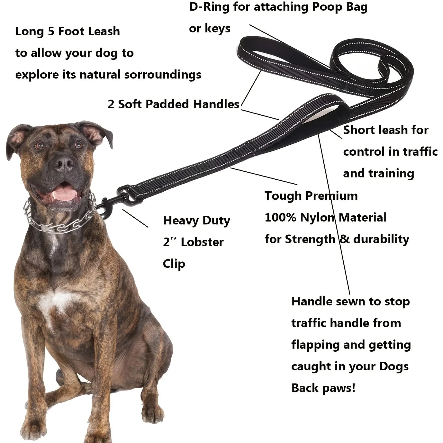 Hochleistungs-Doppelhalsband für Hunde – Kette und Nylon, 150–180 cm