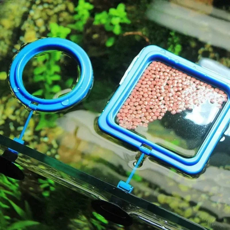 AquaRing Futterring für Aquarium