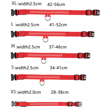 LumiGlow LED Leuchthalsband für Hunde
