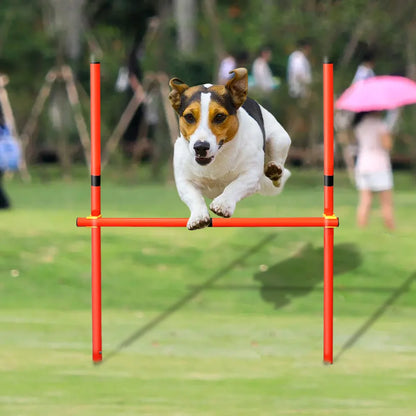 AgiliPro Hundesport-Trainingsset