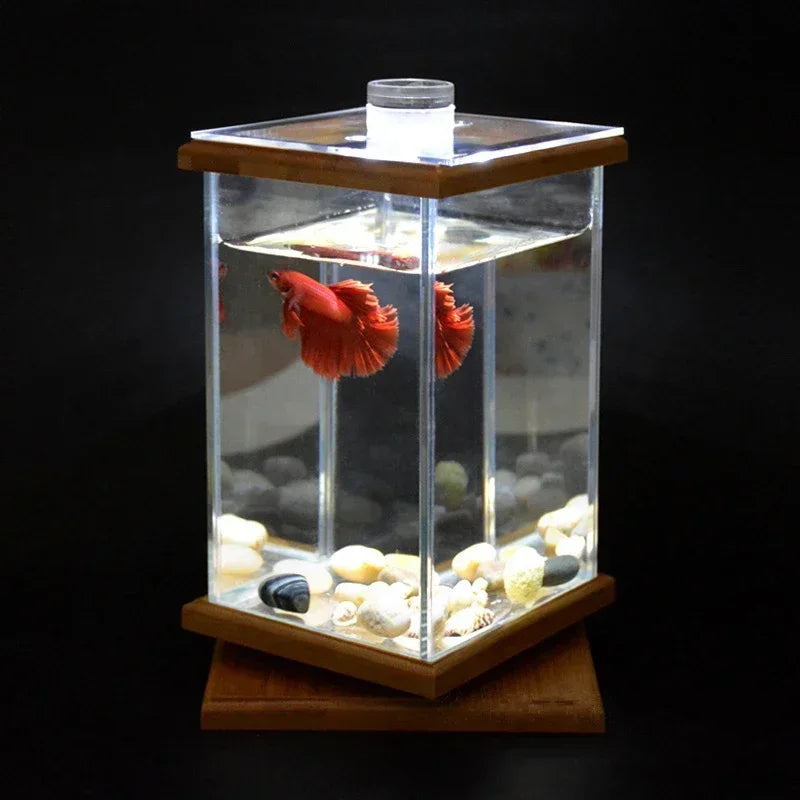 AquaGlow LED zylindrisches Mini-Aquarium
