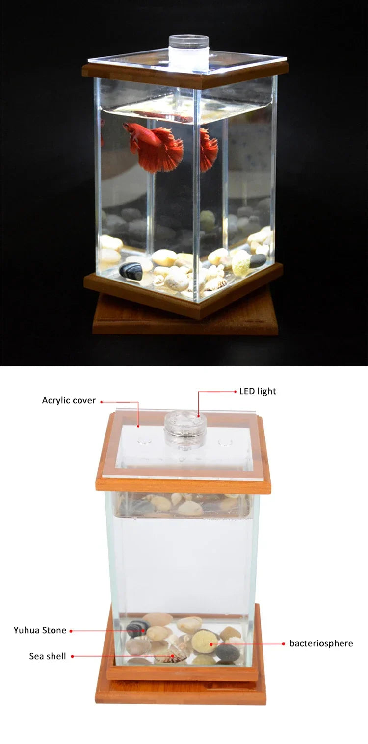 AquaGlow LED zylindrisches Mini-Aquarium