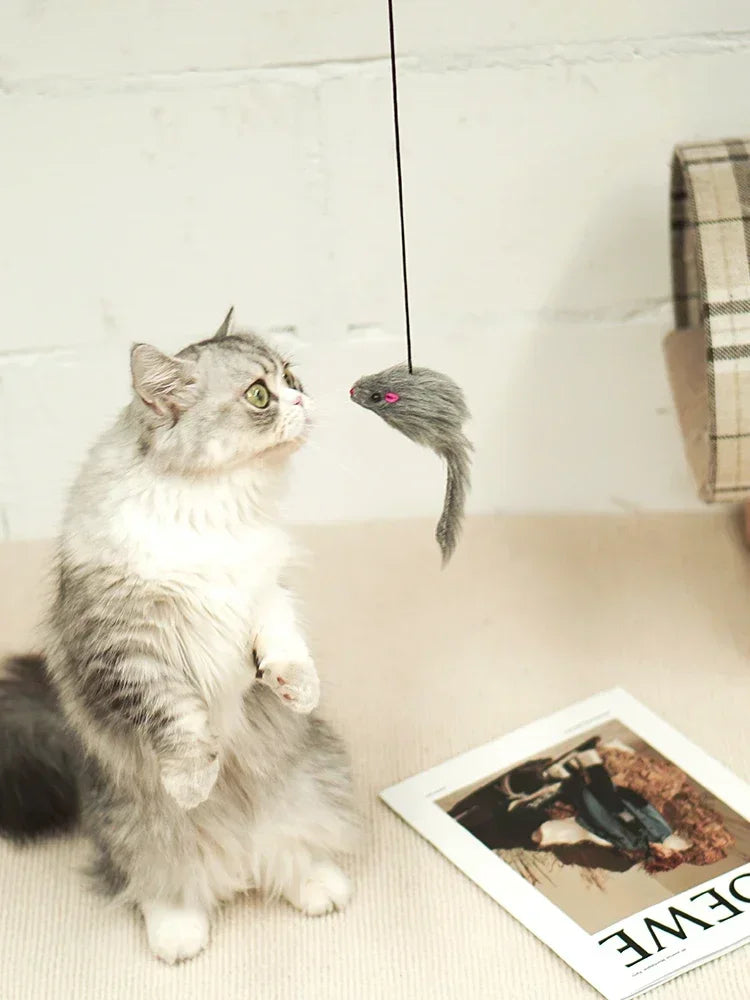 MousePlay Türhänger Katzenspielzeug