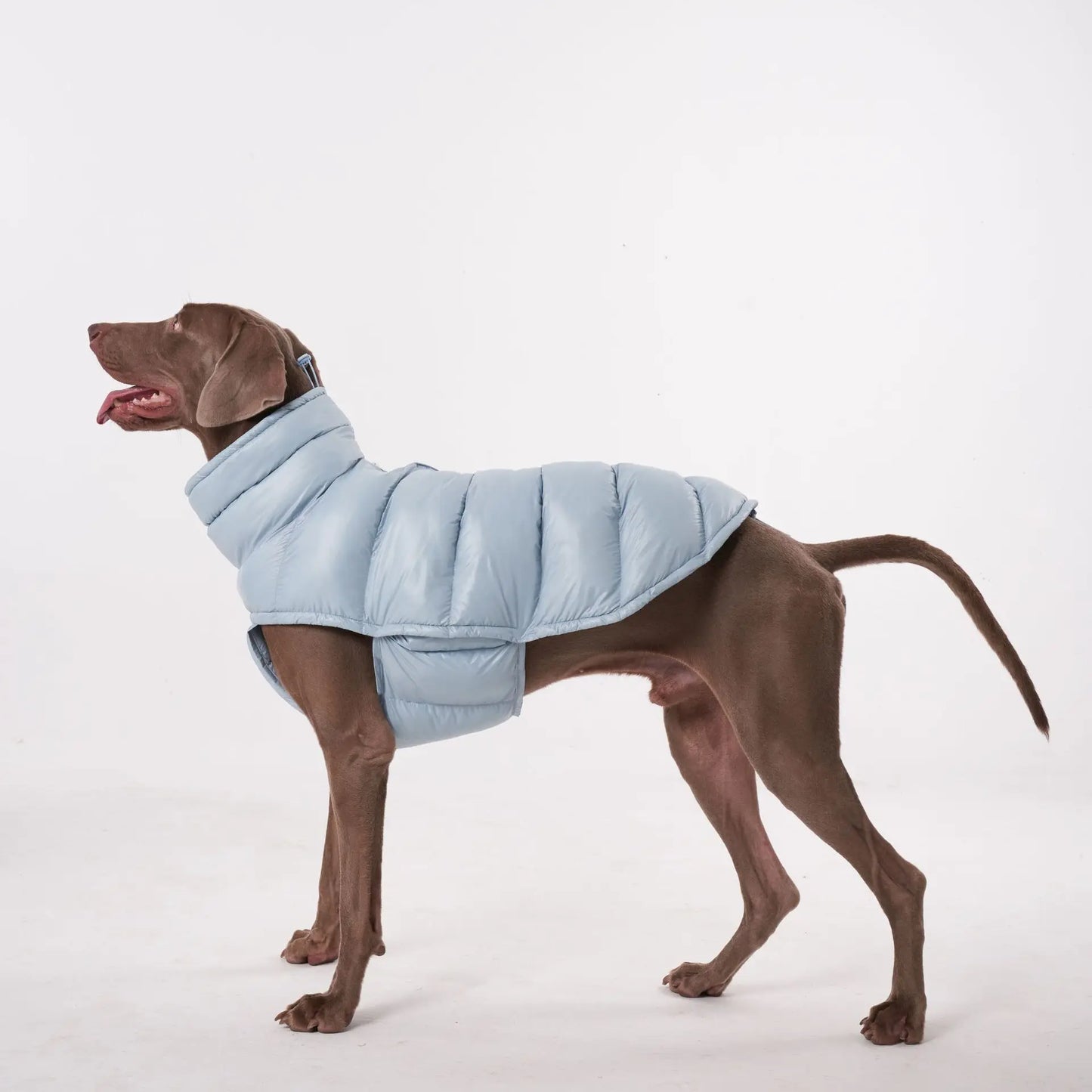Premium Winter Winddichte Hundejacke