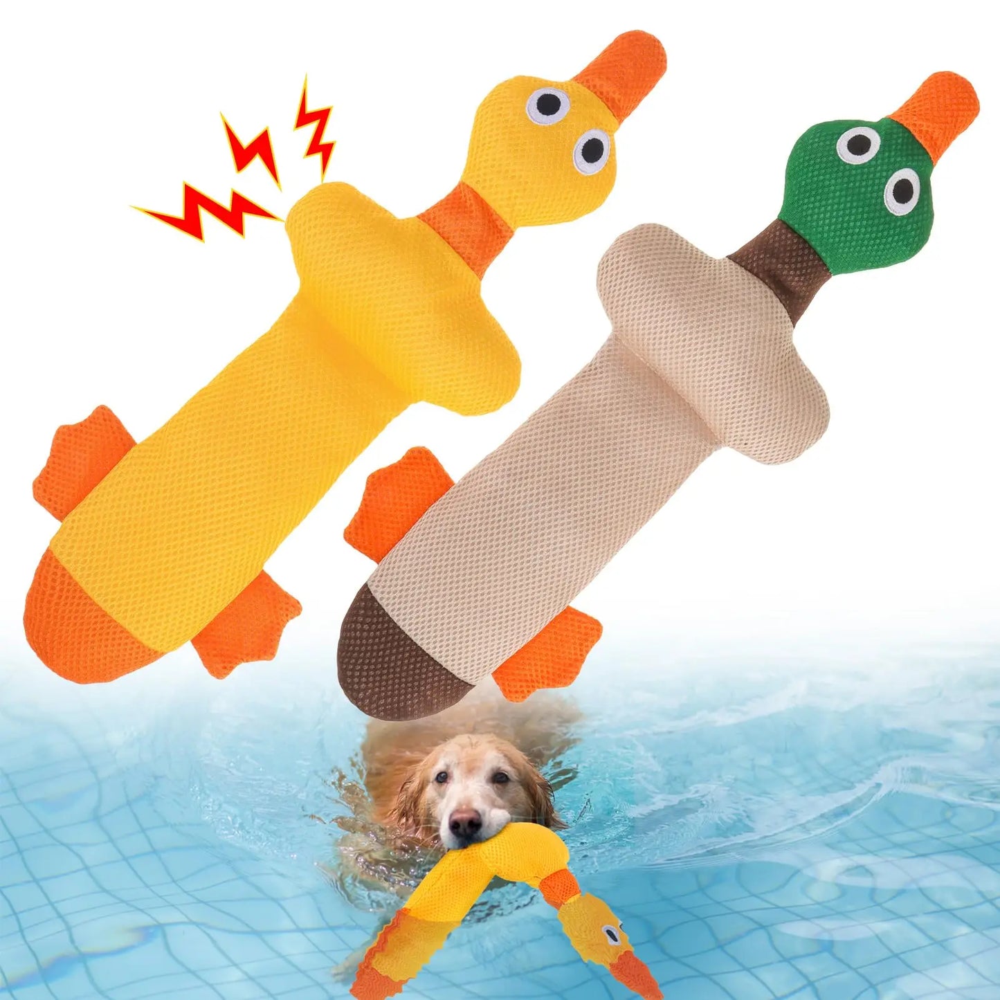ZiziFloat Hunde-Wasserspielzeug