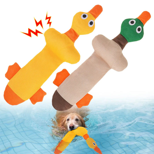 ZiziFloat Hunde-Wasserspielzeug