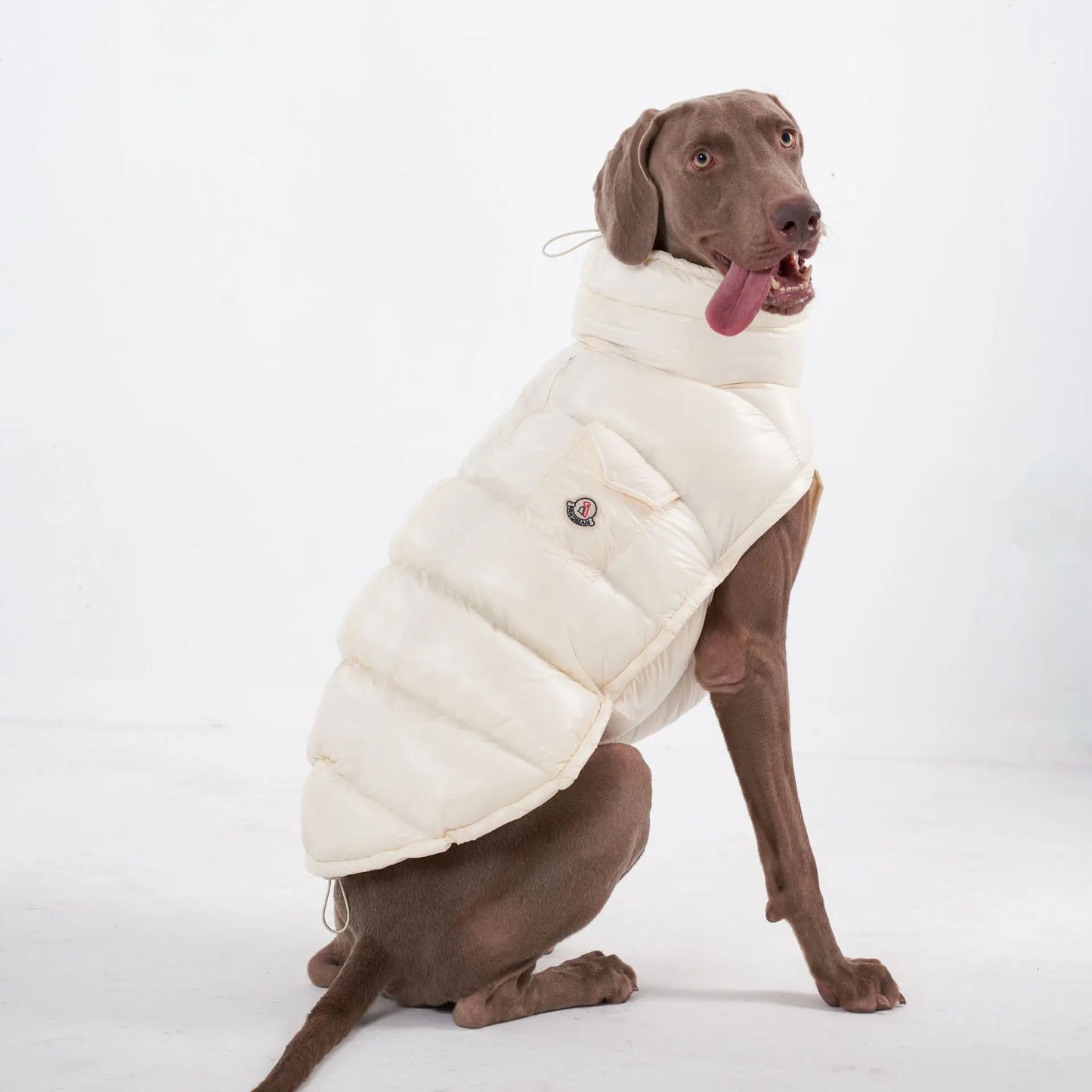 Premium Winter Winddichte Hundejacke