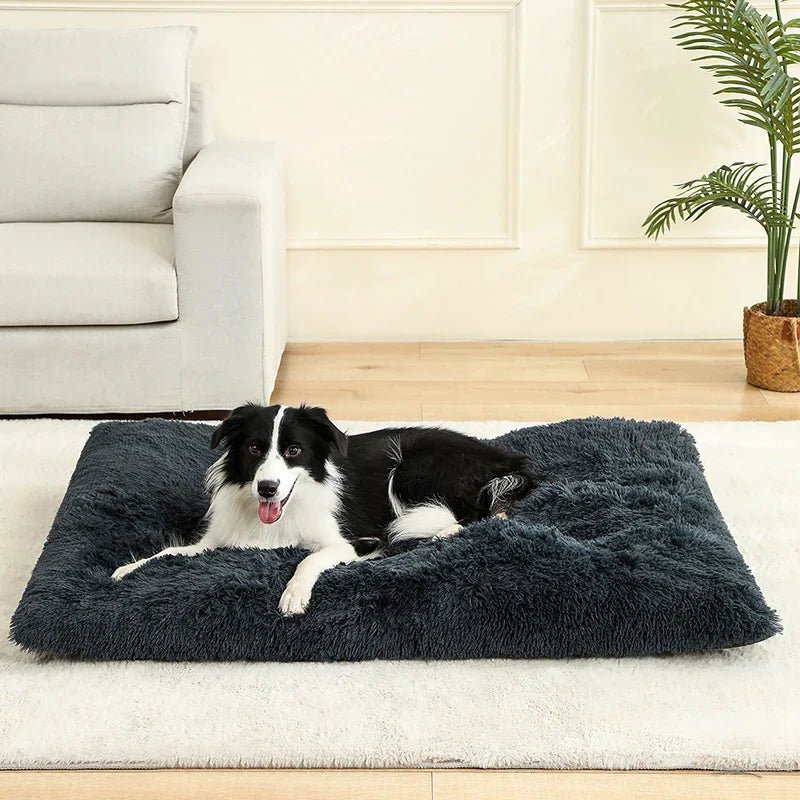 Plüsch-Hundebett – Weicher Korb für Hund oder Katze (60–70 cm)