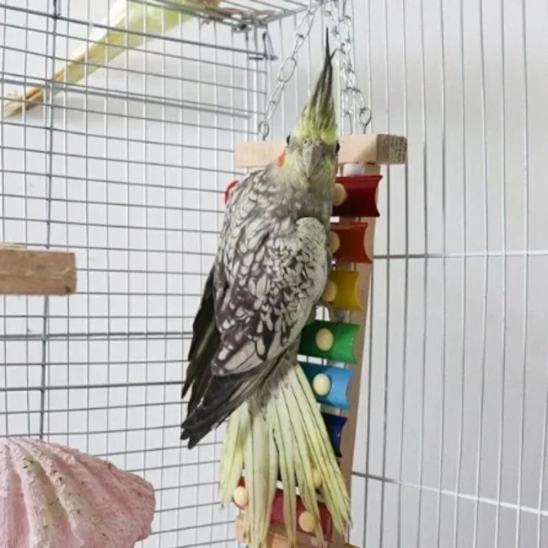 Vogel-Xylophon-Spielzeug aus Holz und Metall – buntes Hühner- und Wellensittichspielzeug