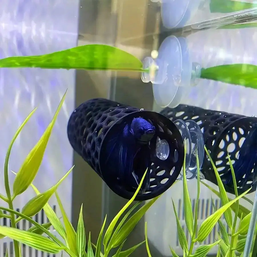 AquaHaven Schwarze Aquarium-Versteckröhre mit Saugnapf