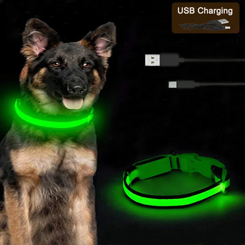 LumiGlow LED Leuchthalsband für Hunde