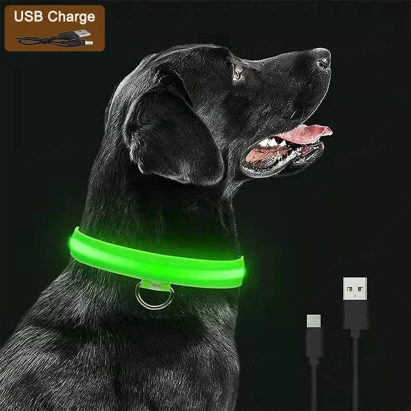 LumiGlow LED Leuchthalsband für Hunde