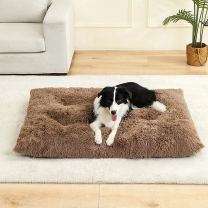 Paw Haven Luxus-Plüsch-Hunde- und Katzenbett