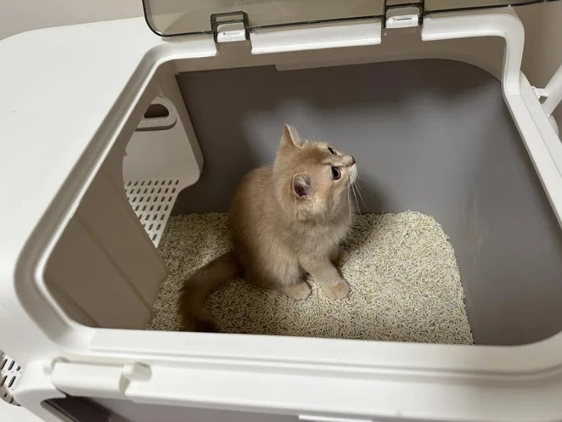 FazziKat Deluxe Katzentoilet mit Korridor-Design