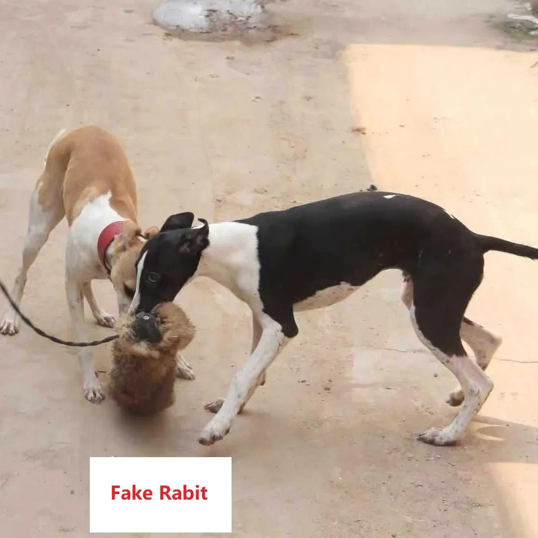 KlimPaws Jagdhund-Beißspielzeug