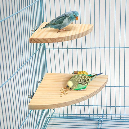 Standard-Papageienstange aus Holz – natur, fächerförmig