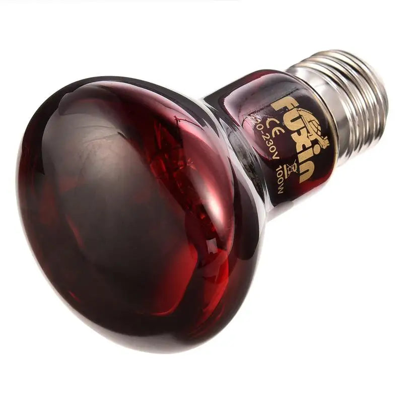 Amphibien-Isolierheizlampe