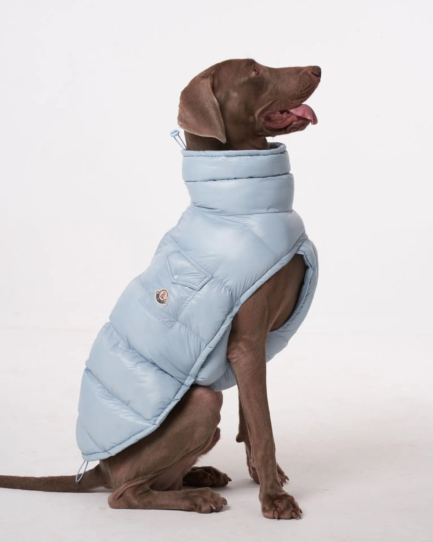 Premium Winter Winddichte Hundejacke
