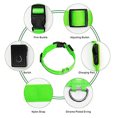 LumiGlow LED Leuchthalsband für Hunde