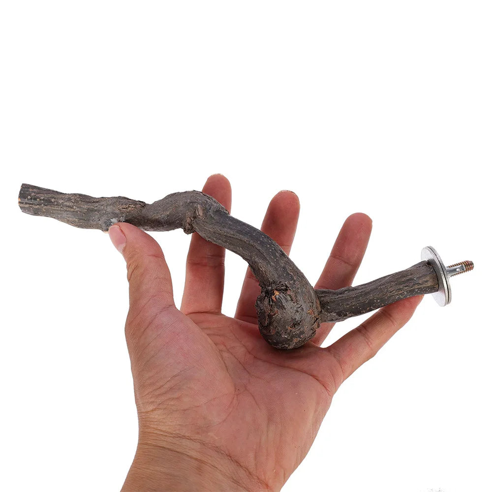 Papageien-Sitzstange aus Weinrebenholz – Natürlich, zum Kauen geeignet, 100 % sicher