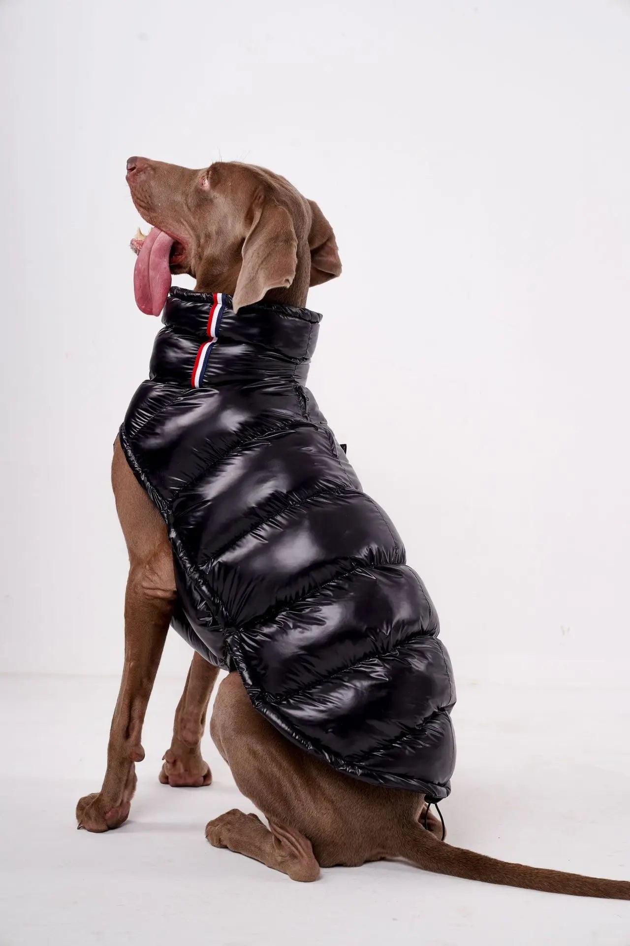 Premium Winter Winddichte Hundejacke