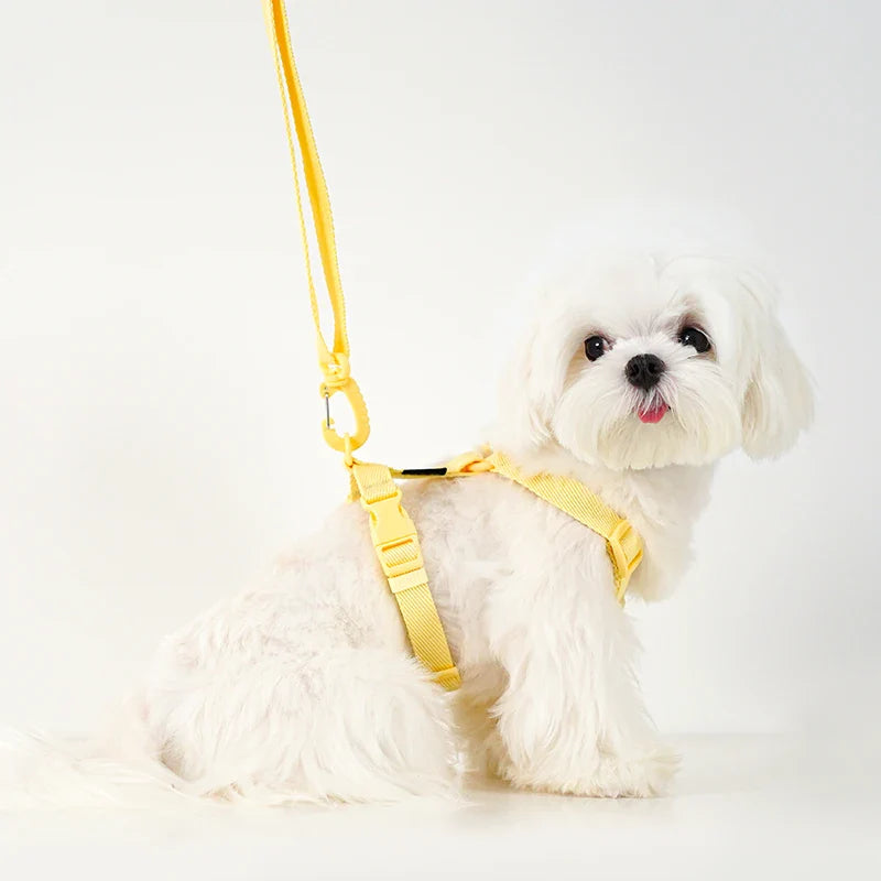 MacaroneWalk – Verstellbares Hundegeschirr-Set mit Halsband und Leine