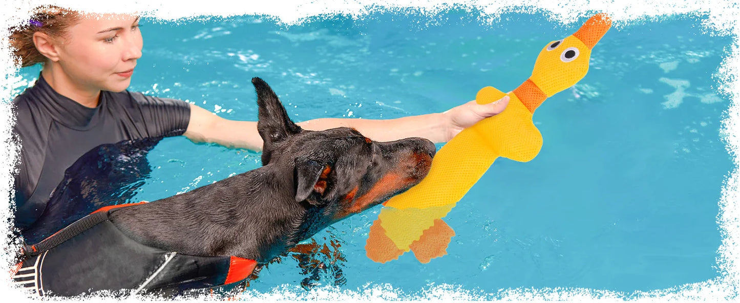 ZiziFloat Hunde-Wasserspielzeug