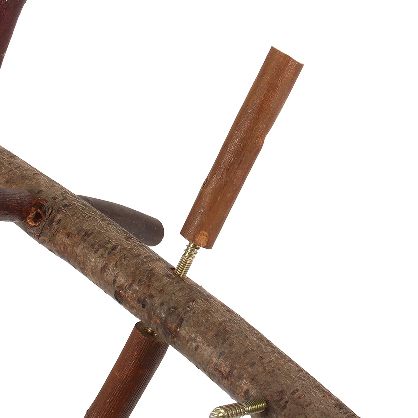 Papageiensitz aus Holz – Natürlicher Vogel mit Ästen