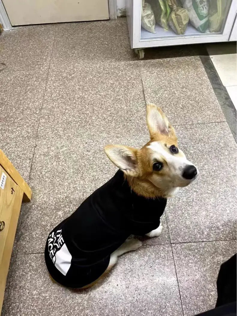 Wärmender Hundehoodie zum Öffnen