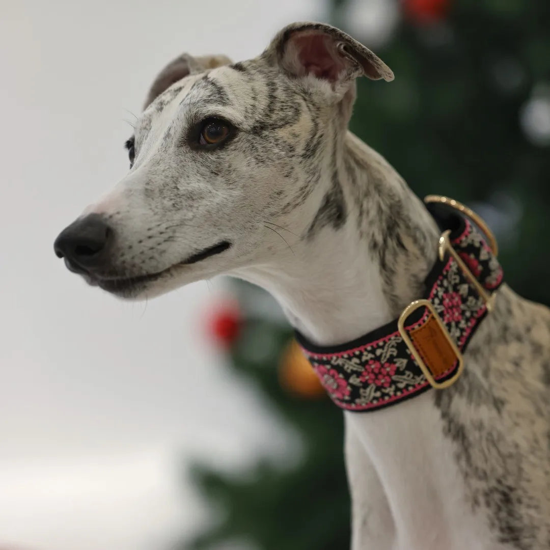 SwiftGent Martingale Hundehalsband